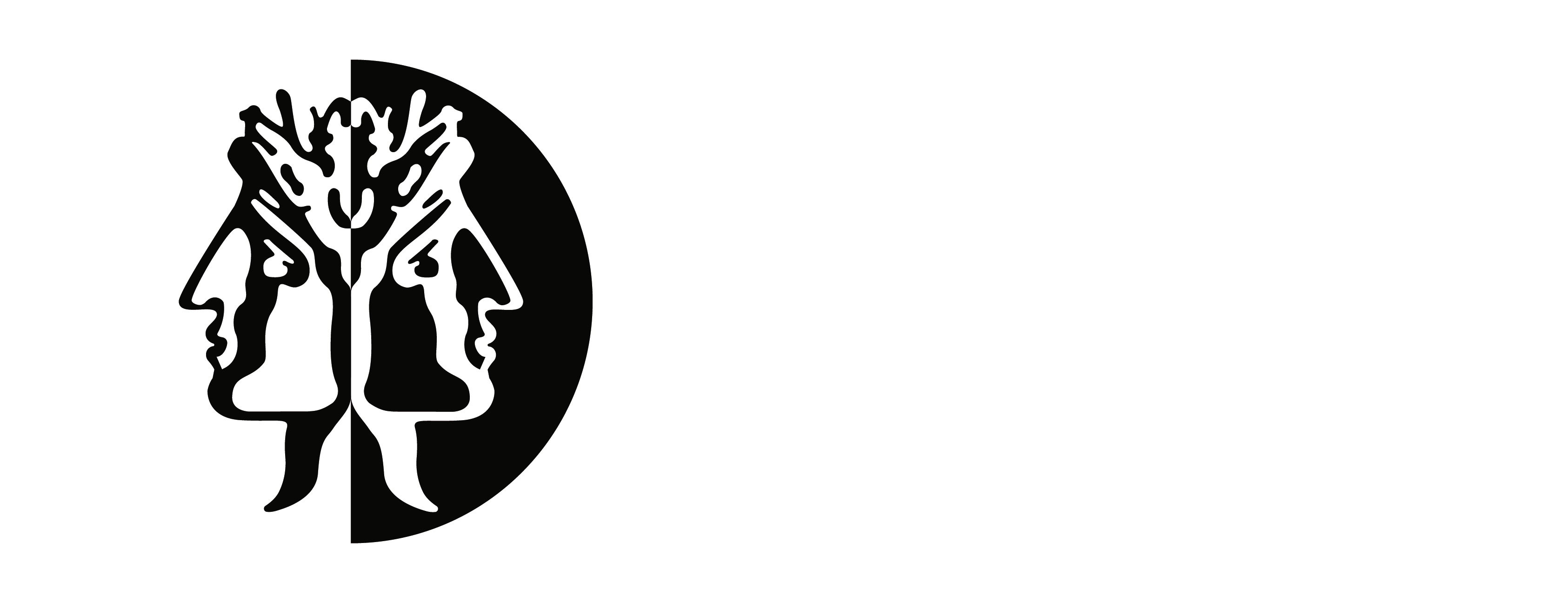Logotipo secundario, en blanco, de Janus Management