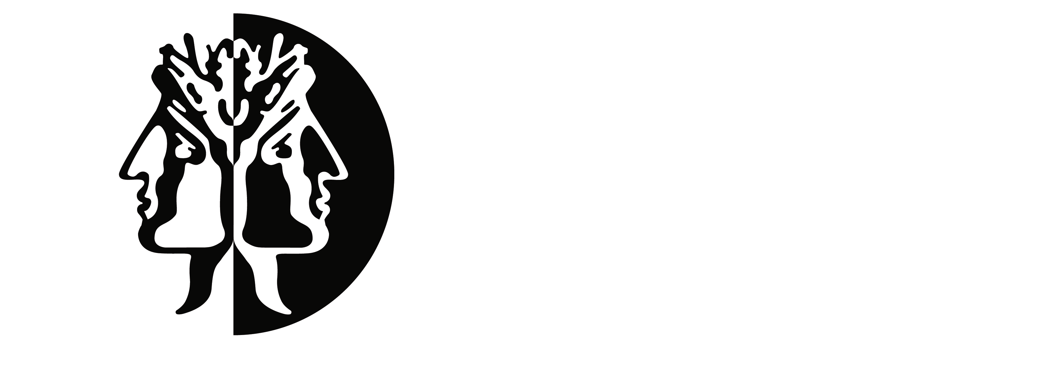 Logotipo secundario de Janus Management, asesoramiento y gestión para empresas y empresarios.